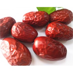 低價格批發優質新疆紅棗廠家直銷